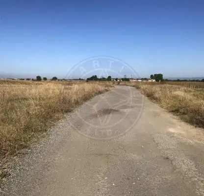 Photo 4 — Plot in област София, Elin Pelin