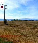 Парцел в София, Елин Пелин