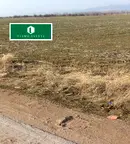 Парцел в София, Елин Пелин