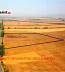 Парцел в София, Елин Пелин