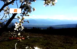 Парцел в София, Костенец