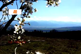 Парцел в София, Костенец