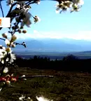 Парцел в София, Костенец