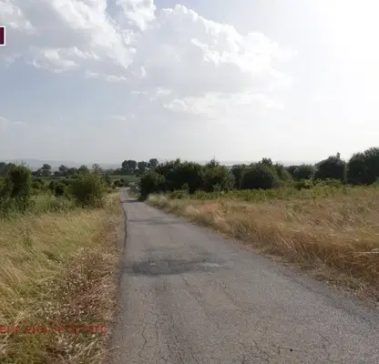 Photo 5 — Plot in област София, Kostinbrod