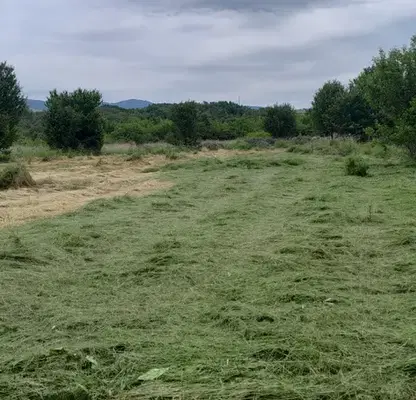 Photo 2 — Plot in област София, Kostinbrod