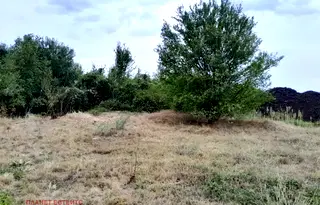 Парцел в София, Обеля