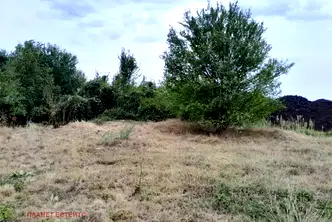 Парцел в София, Обеля