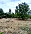 Парцел в София, Обеля