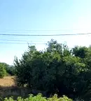 Парцел в София, Костинброд
