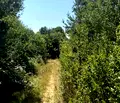 Снимка 2 — Парцел в София, Костинброд