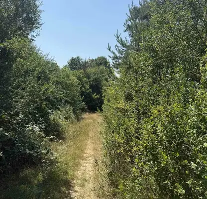 Photo 2 — Plot in област София, Kostinbrod