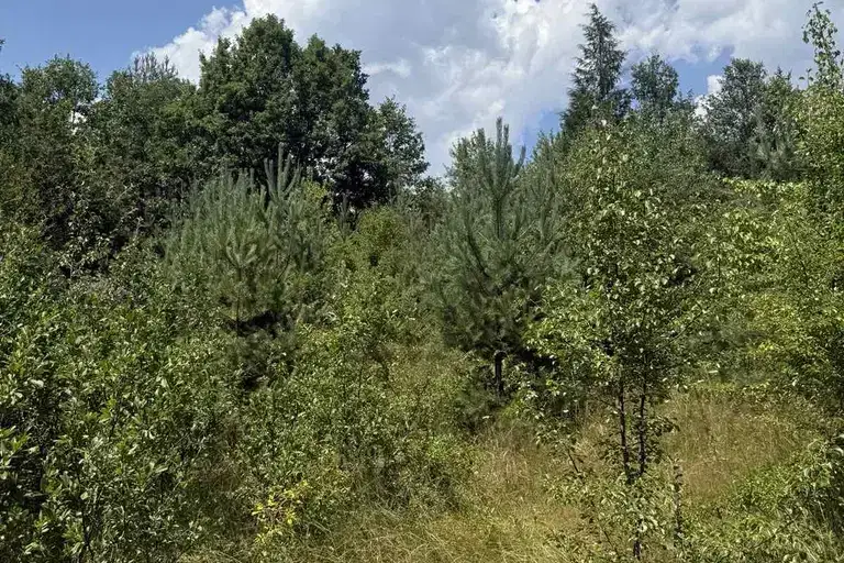 Plot in област София, Kostinbrod