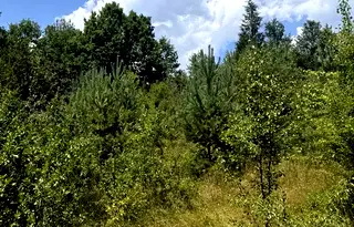 Парцел в София, Костинброд