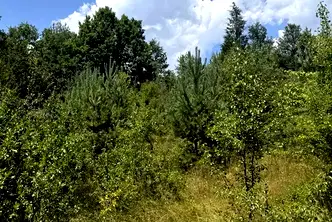 Парцел в София, Костинброд