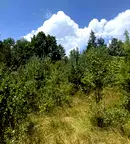 Парцел в София, Костинброд