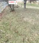 Парцел в София, Правец