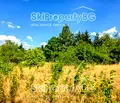 Снимка 5 — Парцел в София, Самоков