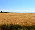 Снимка 5 — Парцел в София, Сливница