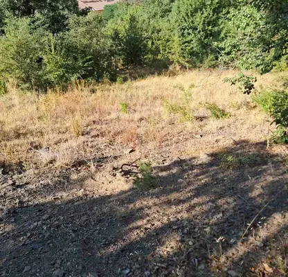 Photo 3 — Plot in област София, Svoge
