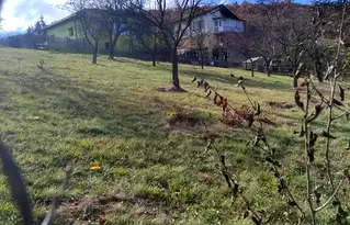 Парцел в София, Своге