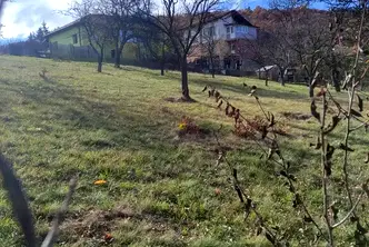 Парцел в София, Своге