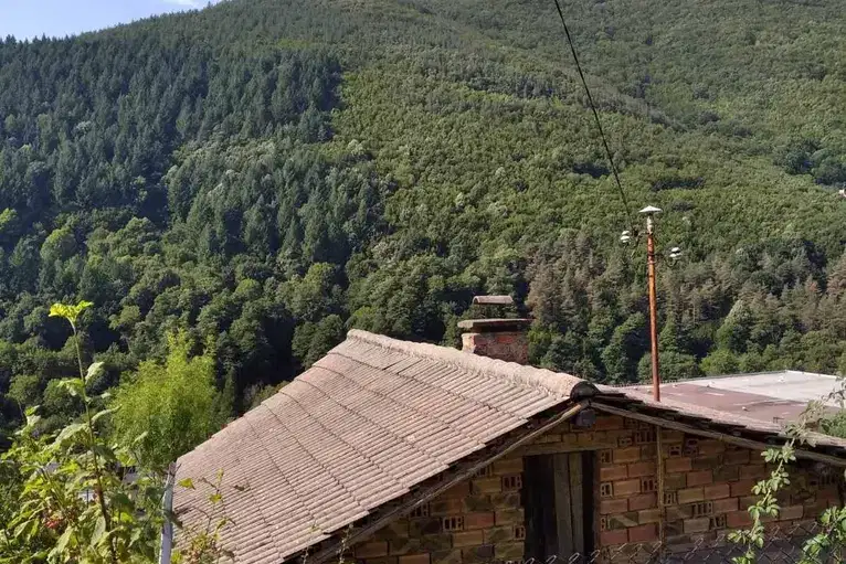Парцел в София, Своге