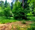Снимка 4 — Парцел в София, к.к. Боровец