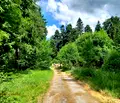 Снимка 5 — Парцел в София, к.к. Боровец