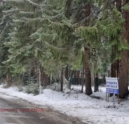 Photo 3 — Plot in област София, Borovec