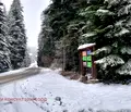 Снимка 4 — Парцел в София, к.к. Боровец