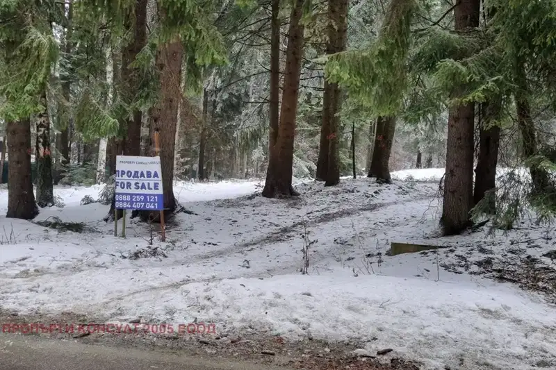 Plot in област София, Borovec