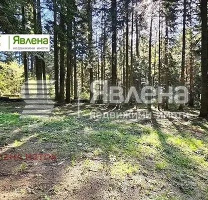 Photo 2 — Plot in област София, Borovec