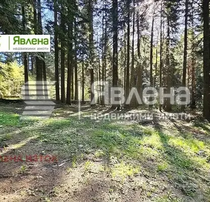 Photo 4 — Plot in област София, Borovec