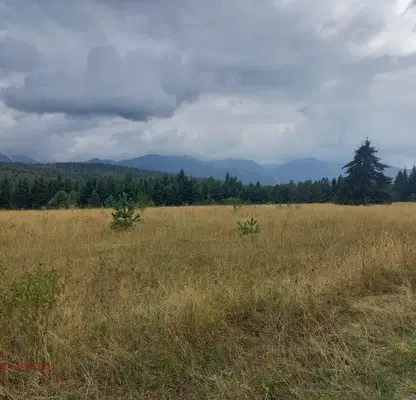 Photo 2 — Plot in област София, Borovec