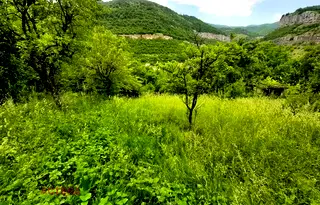 Парцел в София, Гара Лакатник