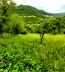 Парцел в София, Гара Лакатник