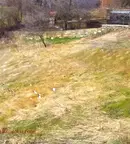 Парцел в София, с. Алдомировци