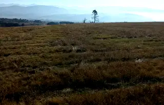 Парцел в София, с. Алино