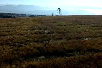 Парцел в София, с. Алино