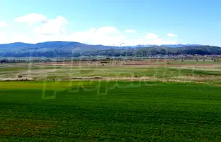 Парцел в София, с. Алино