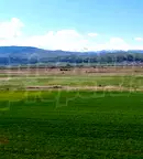 Парцел в София, с. Алино