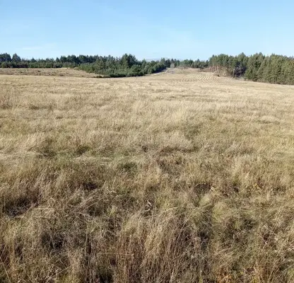 Photo 2 — Plot in област София, Alino