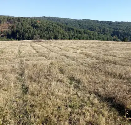 Photo 3 — Plot in област София, Alino