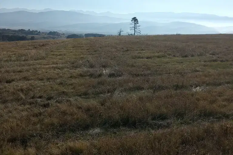 Plot in област София, Alino