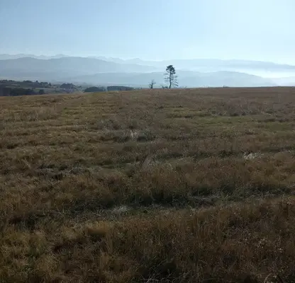 Photo 2 — Plot in област София, Alino