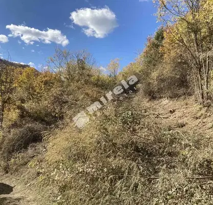 Photo 3 — Plot in област София, Batuliya