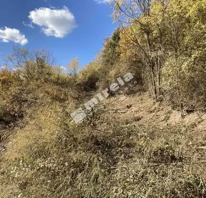 Photo 4 — Plot in област София, Batuliya