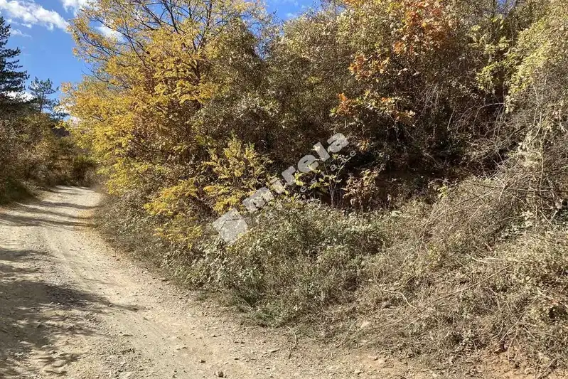 Парцел в София, с. Батулия