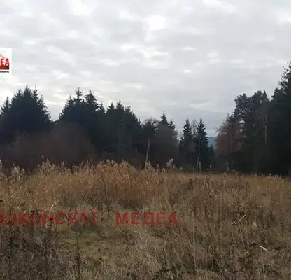 Photo 4 — Plot in област София, Belchinski Bani