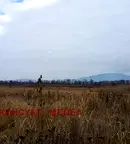 Парцел в София, с. Белчински бани